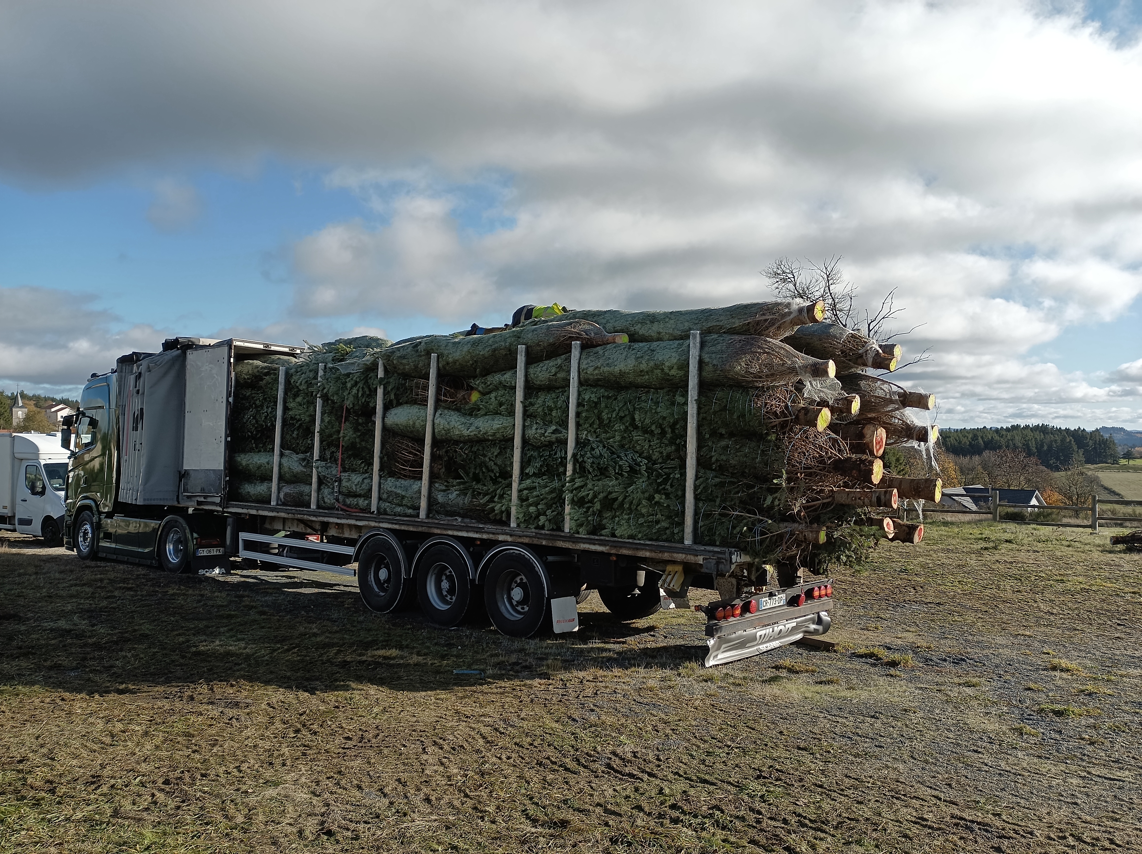 Semi-remorque chargé de sapins de Noël — livraison Sud-Est France